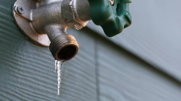 Best Plumbing Repair Near Me  in Wilmore, KY